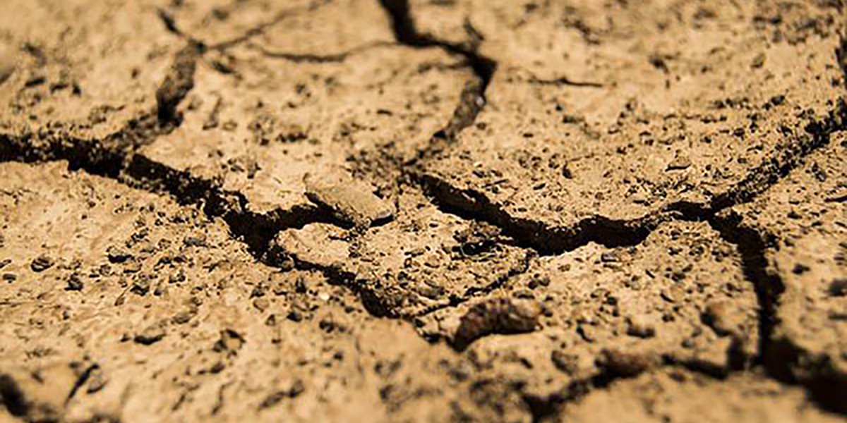 Oltre 17 milioni per sopperire ai danni da siccità del 2022 in Emilia Romagna